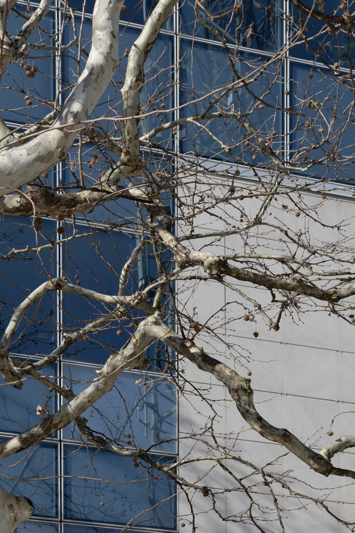 Agencija za ljekove-32